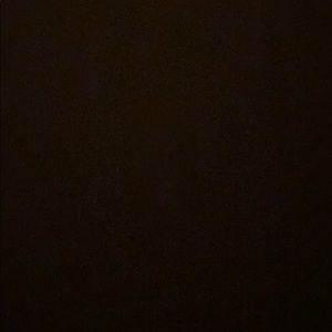 Meet your Posher, Will